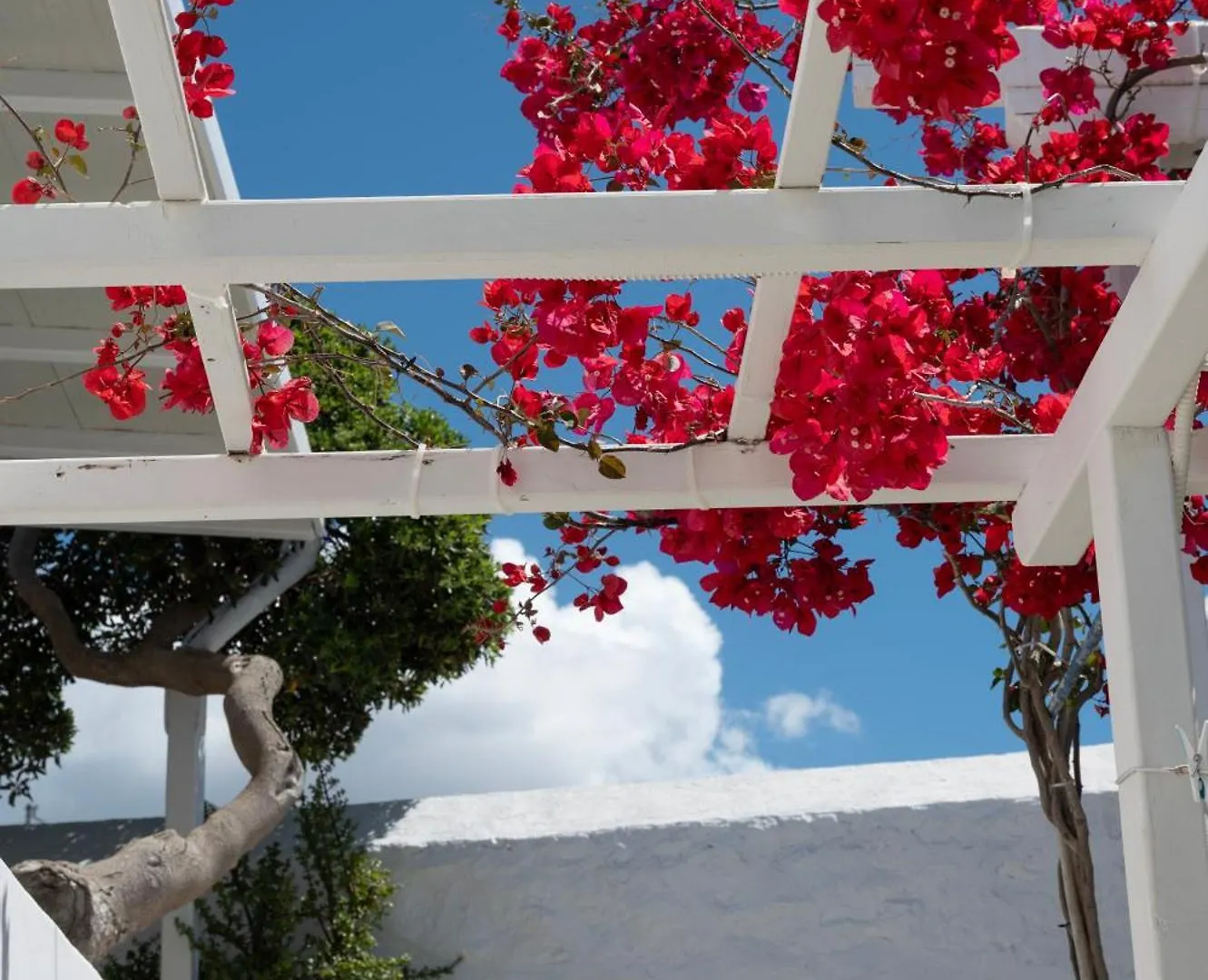 Boutique Di Vito Hotel Mykonos Town